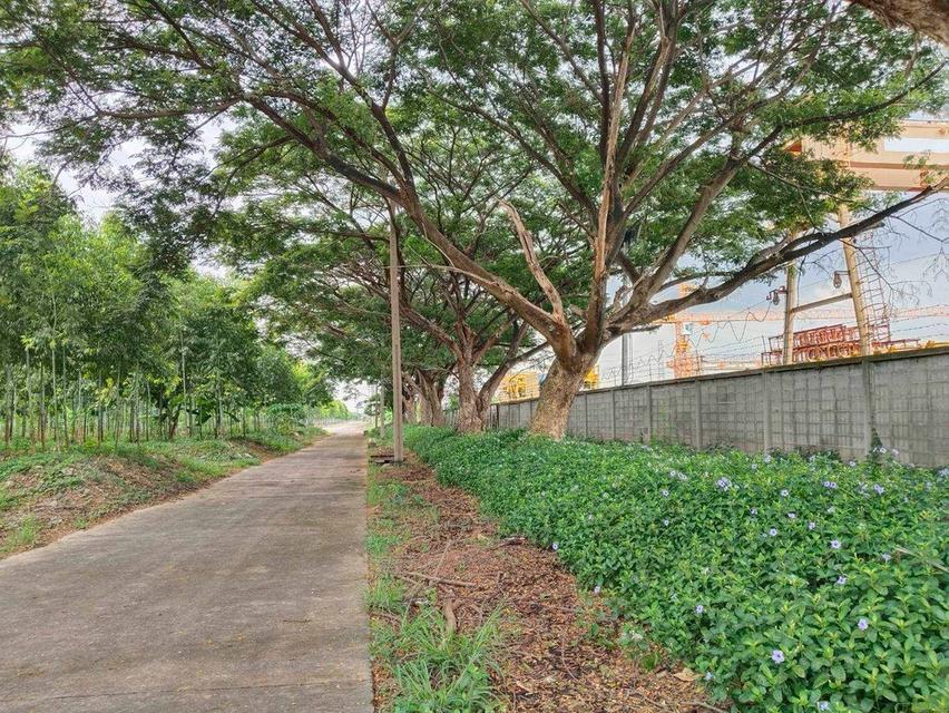 ขายที่ดินผังสีม่วง ถนนพหลโยธิน นวนคร พื้นที่ 110-3-35 ไร่ ต.คลองหนึ่ง อ.คลองหลวง จ.ปทุมธานี 5