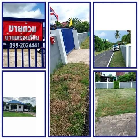 ขายบ้านพร้อมที่ดิน 203 ตารางวา โฉนดพร้อมโอน เทศบาลตำบลโพธิ์ชัย อำเภอศรีสมเด็จ จังหวัดร้อยเอ็ด 6