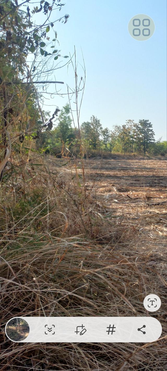 ที่ดินเปล่าเหมาะทำธุรกืจ รูปที่ 3