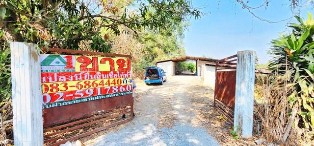 ที่ดิน ติดถนน 1052 ต.หนองโรง อ.หนองแค จ.สระบุรี ที่ตั้ง :ต.หนองโรง อ.หนองแค จ.สระบุรี 4