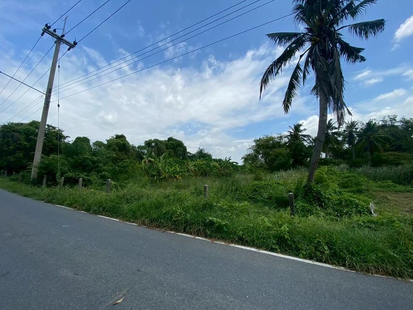 ขายที่ดิน 8 ไร่ อยู่ถนนสายเอเซีย อ. อินทร์บุรี จ. สิงห์บุรี 10