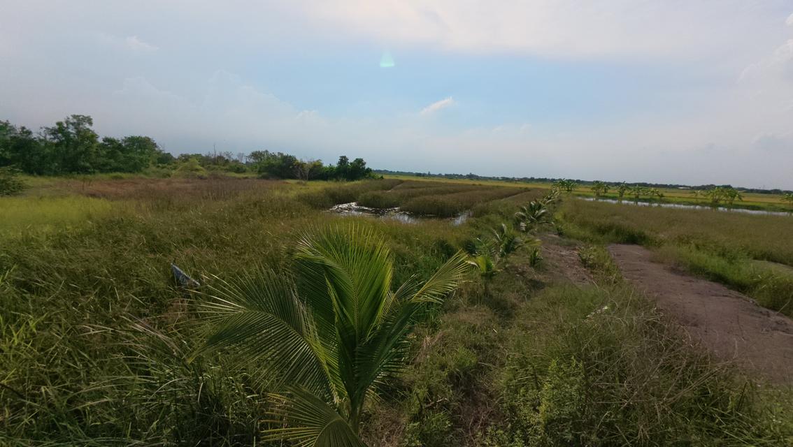 ที่ดินเปล่า ถมแล้ว ถนนคลองหลวง ต.คลองหก อ.คลองหลวง จ.ปทุมธานี 6