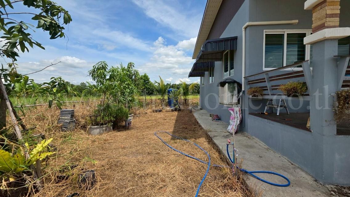 บ้านเดี่ยว 1 ชั้นครึ่ง 80 ตร.วา คลอง 10 ธัญบุรี 7