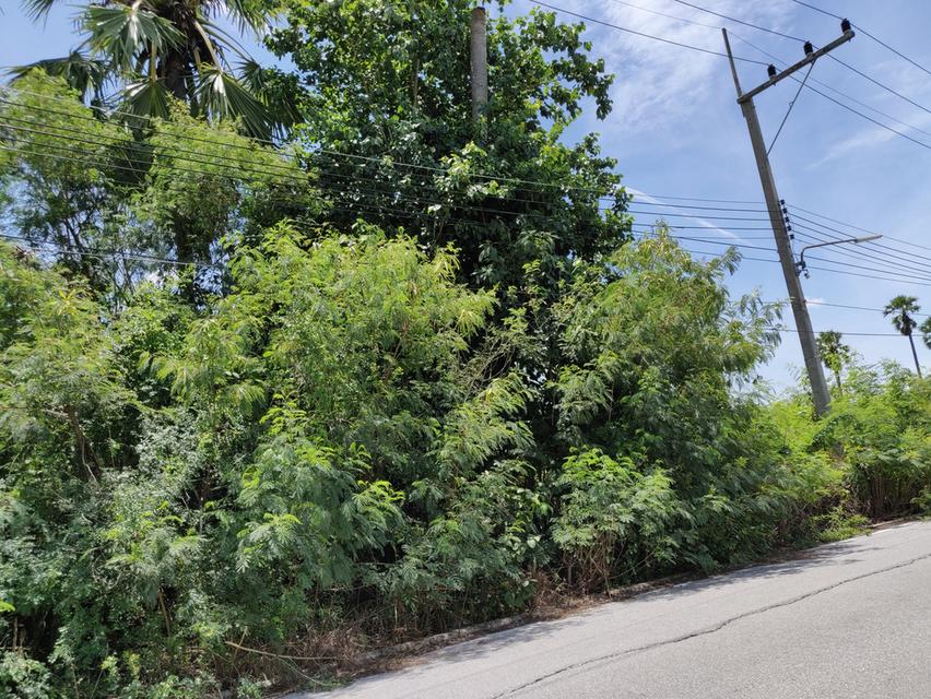 ขายที่ดินแปลง E ท่าพระยา นครชัยศรี นครปฐม 209 ตร.ว. เจ้าของขายเอง พร้อมโอน 7