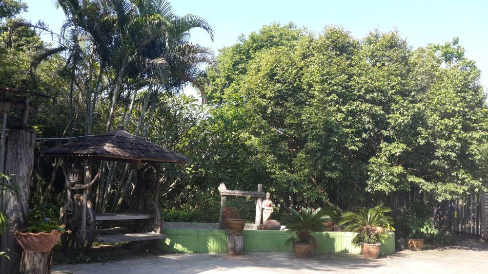 ขายบ้านไม้พร้อมที่ดิน 3 ไร่ 3 งาน บ้านสวยไม้สักทอง พร้อมอยู่ ตำบลตลิ่งชัน เมืองสุพรรณบุรี 12