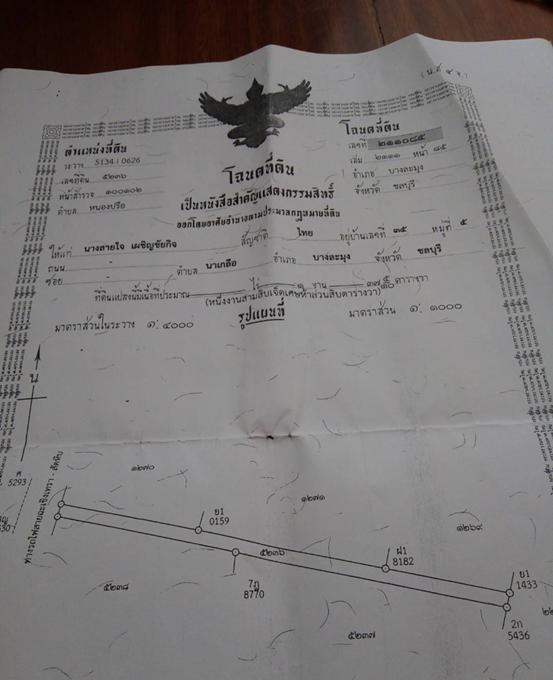 ขายที่ดิน 3 โฉนดแปลงติดกัน อ.บางละมุง เลียบทางรถไฟพัทยา 2