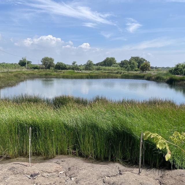 ขายที่ดินเปล่า 4 ไร่ ตำบล วัดยม อำเภอ บางปะอิน จังหวัด พระนครศรีอยุธยา 12