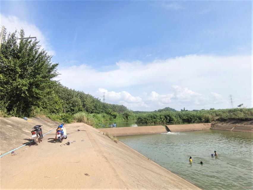 รูป ขาย ที่ดิน ME317 ติดคลองน้ำ คลองหลวง รัชชโลธร เกาะจันทร์ ชลบุรี . 18 ไร่ 3 งาน 13 ตร.วา อากาศดี ไฟฟ้า ปะปา เหมาะรีสอร์ท 