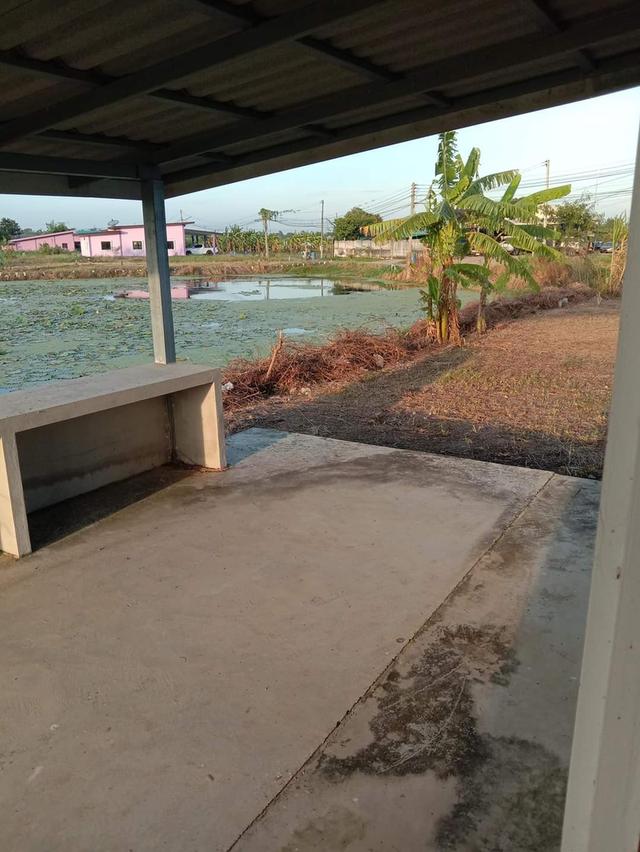 บ้านพร้อมที่ดิน ต.ทัพหลวง อ.เมืองนครปฐม จ.นครปฐม 4