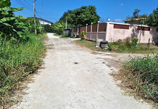 ขายที่ดิน ซอยวัดลาดปลาดุก ถนนกาญจนาภิเษก ตำบลพิมลราช อำเภอบางบัวทอง นนทบุรี 5