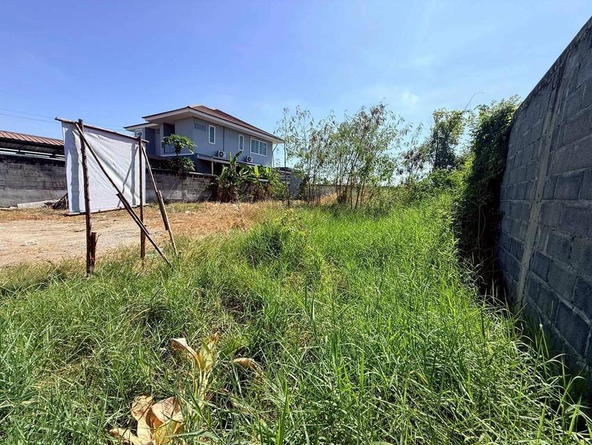 ขายถูกที่ดิน 85 ตรว ถมแล้ว ซ.หมู่บ้านสินสุขการ์เด้น อ.บางบ่อ จ.สมุทปราการ 5