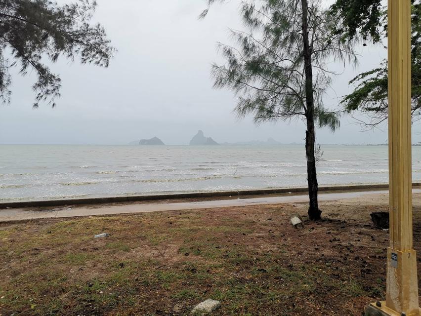 ที่ดินเปล่าติดชายทะเลอ่าวน้อย ประจวบ 6