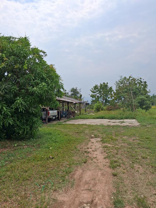 บ้านพร้อมที่ดิน อ.แม่ใจ.จ.พะเยา 2569 4