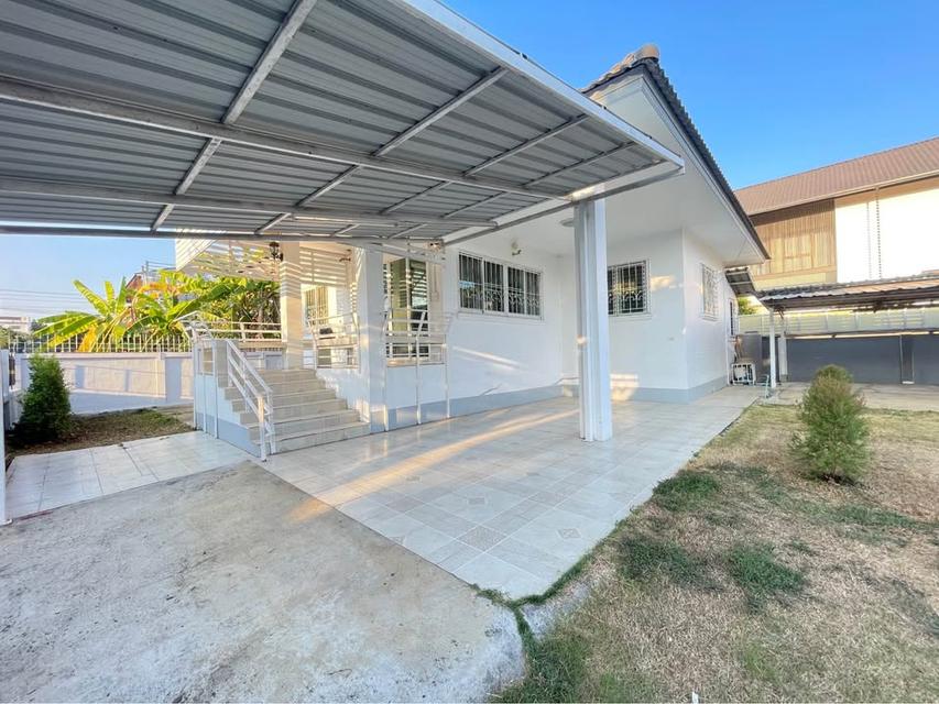 🏡 บ้านเดี่ยวชั้นเดียวพื้นที่กว้าง 100 ตร.ว. [2 นอน 2 น้ำ] ทำเลหนองหอย ใกล้ รร.วารี & มงฟอร์ต Spacious Single-Storey House [2 Beds 2 Baths] - 100 sq.w 1