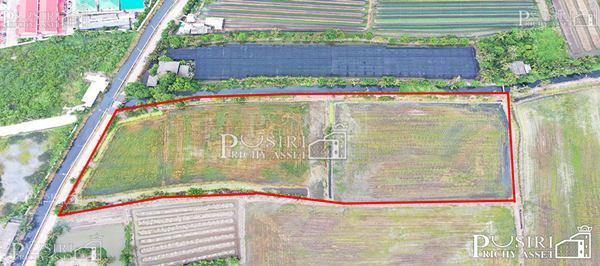 ซื้อทำกำไรได้มากกว่า 100 % ++ กับที่ทรงสวย 14 ไร่เศษ หน้ากว้าง 97 ม. ใกล้ ถ. ตัดใหม่ กัลปพฤกษ์ – พุทธสาคร KK5104S 2