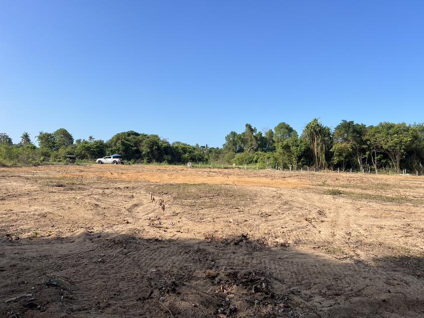 ที่ดิน ลิปะน้อย เกาะสมุย 2