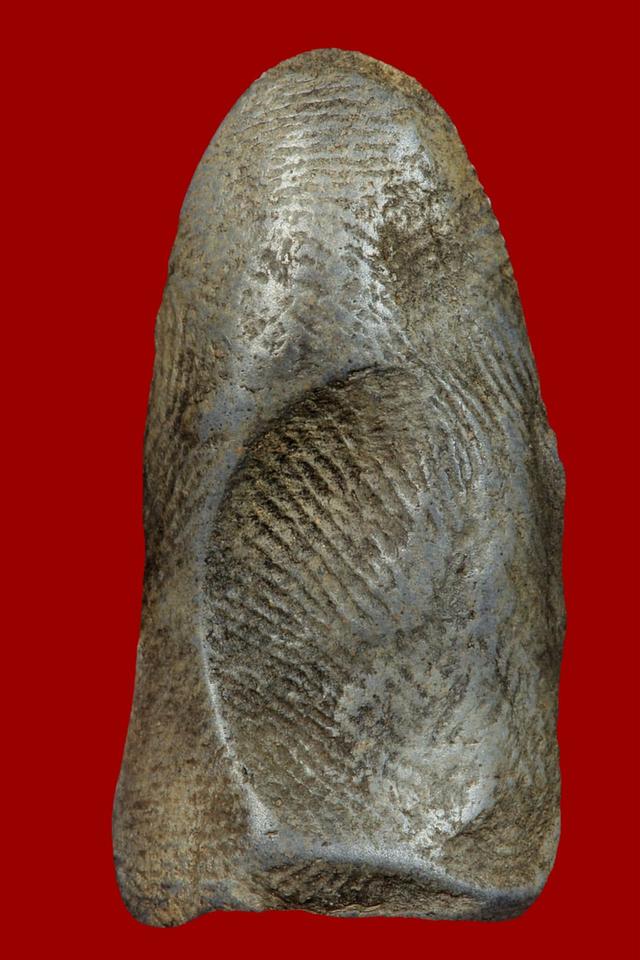 เปิดคับพระรอดมหาวันสนใจ รูปที่ 3