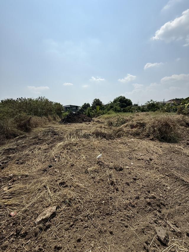 ให้เช่า ที่ดินเปล่า ถมแล้ว 1-1-84 ไร่ ราษฎร์อุทิศ 70 มีนบุรี 4