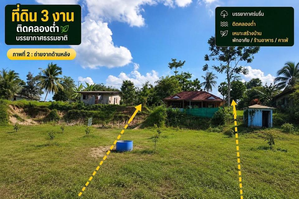 ที่ดิน หน้าติดถนน หลังติดคลอง 3 งาน ทุ่งตำเสา สงขลา 2