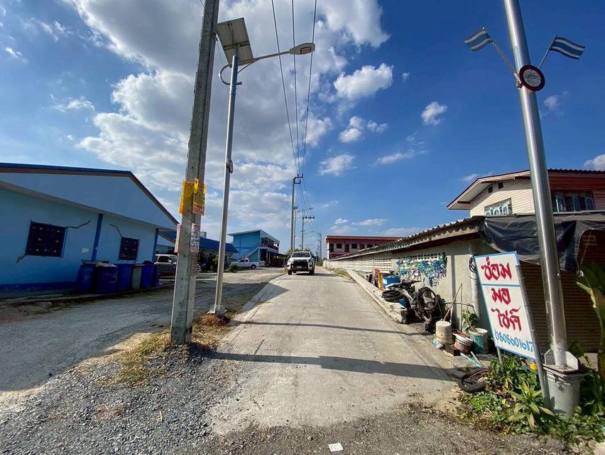 Vายถูกที่ดินบางโฉลง 284 ตารางวา ติดถนนคอนกรีตสาธารณะ ถมแล้ว ซอยพูลเจริญ อ.บางพลี จ.สมุทรปราการ 5