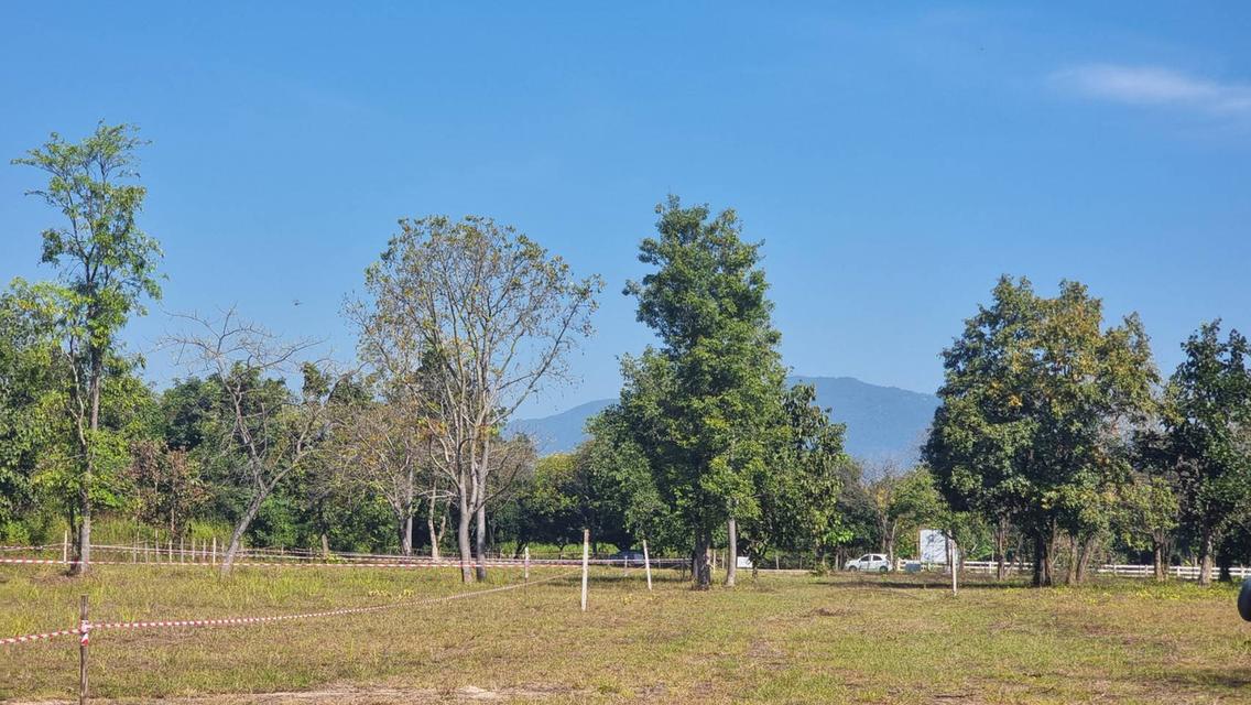 ที่ดินราคาถูกที่สุดในน้ำแพร่ เริ่มต้นเพียง 3,750 บาท/ตรว. เท่านั้น! 1