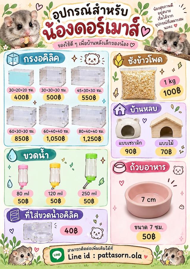 เด็กดอร์เมาส์มาแล้วสนใจทักมาสอบถามได้เลยนะครับ คลอดวันที่13 ส.ค. 69 ย้ายบ้านได้วันที่17 ก.ย. 69 อยู่กทม. แถวจรัญสนิทวงศ์