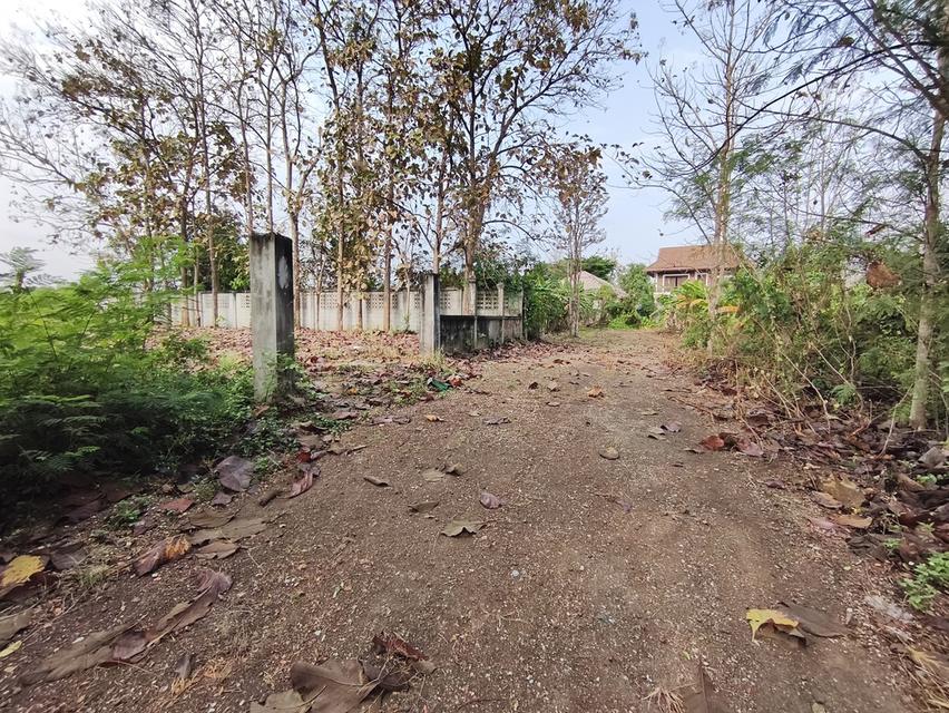 ที่ดินเปล่า แม่เหียะ เชียงใหม่ 6