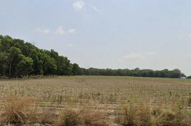 ขายที่ดินศักยภาพสูง ทำเลทอง 48-2-85 ไร่ ต.มาบตาพุด จ.ระยอง ใจกลางโซนอุตสาหกรรม ผังสีส้ม 8