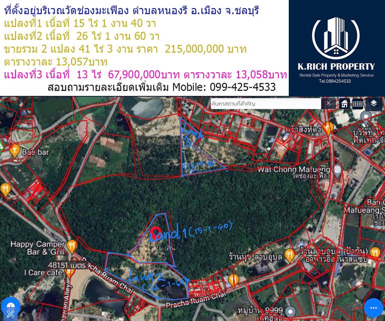 ขายที่ดินอำเภอเมือง ชลบุรี 54ไร่ 3 ตรว. Sale Land 54 Rai 3Sq.wa. Chonburi ,Chonburi City,NongRee 2