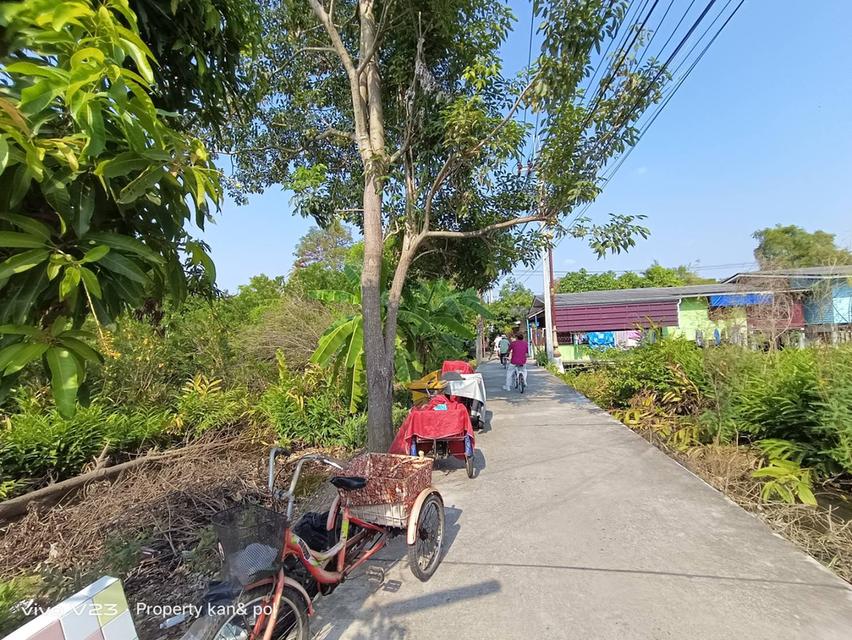 ขายที่ดินเปล่า ไม่มีสิ่งปลูกสร้าง เกาะเกร็ด ที่ดิน 7 ไร่ 1 งาน 13 ตารางวา 2