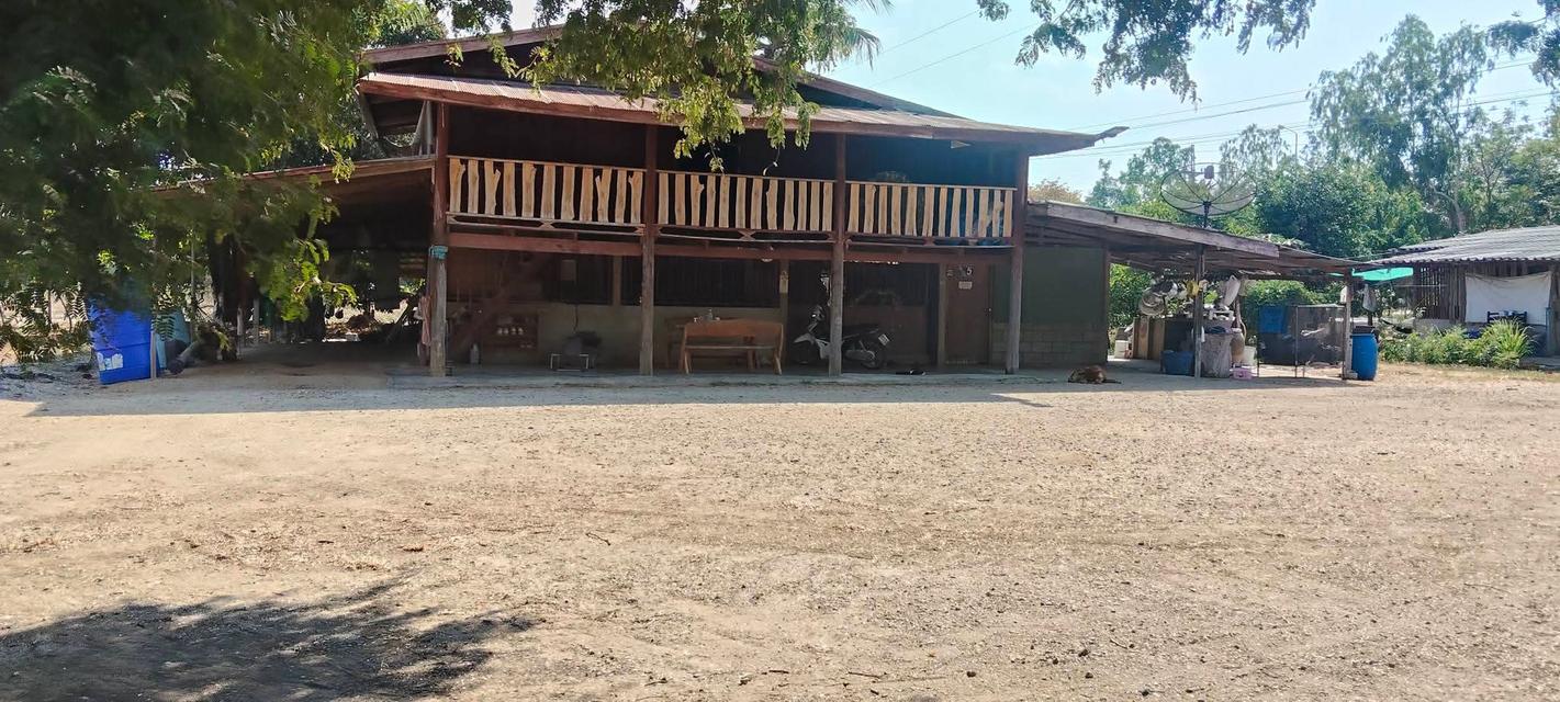 ขายบ้านและที่ดินพร้อมเข้าอยู่ 3