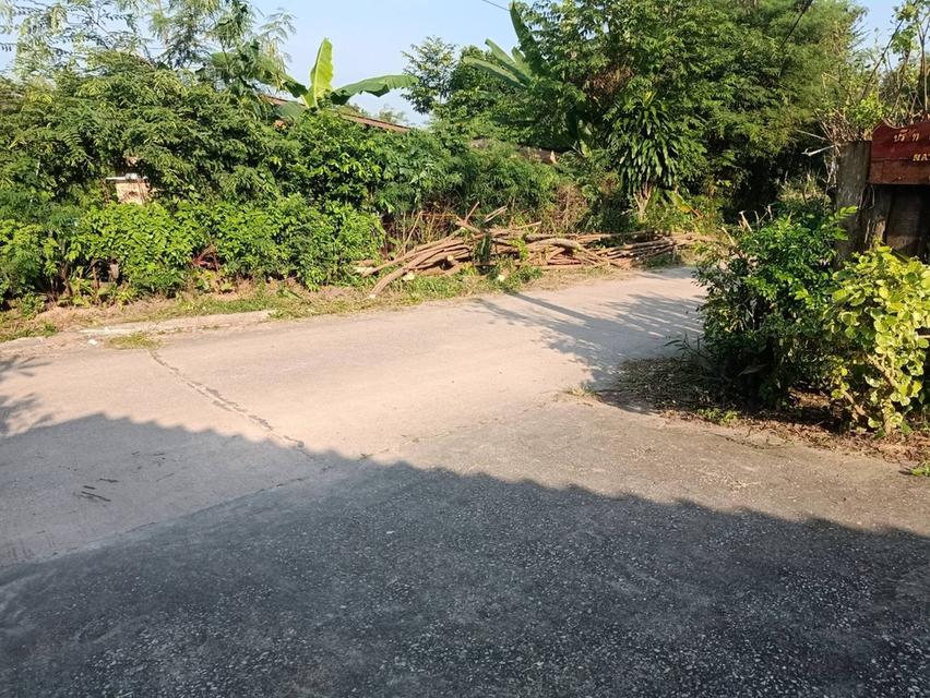 ที่ดินพร้อมอาคาร ห้องแถว โกดังเก็บของ 14