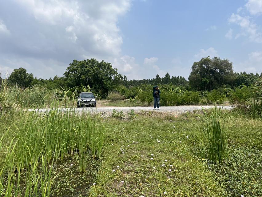 ขายที่ดินเปล่า 100 ตารางวา ราคา 1.7 ล้านบาท ทำเลศักยภาพ ใกล้ชุมชน 3