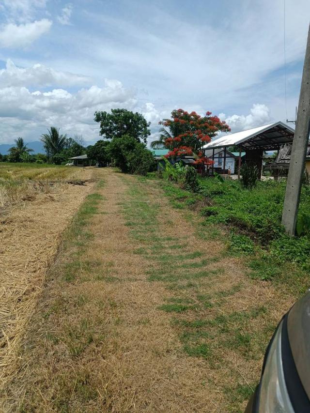 ขายที่ดิน 14 ไร่ 37 ตร.ว. ติดถนน โฉนดครุฑแดง พร้อมโอน ใกล้สถานที่ท่องเที่ยว อำเภอเวียงป่าเป้า จังหวัดเชียงราย