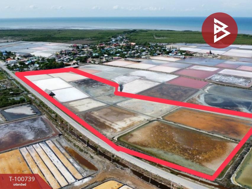 ขายที่ดินเปล่า เนื้อที่ 36 ไร่ 3 งาน 69 ตร.วา อำเภอบ้านแหลม เพชรบุรี 1