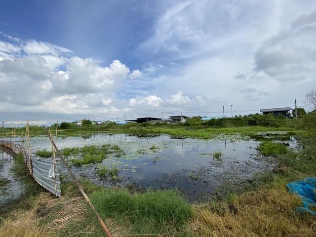 ขายที่ดินเปล่า ทำเลดี เจ้าของขายเอง ตำบลคลองด่าน อำเภอบางบ่อ สมุทรปราการ 18