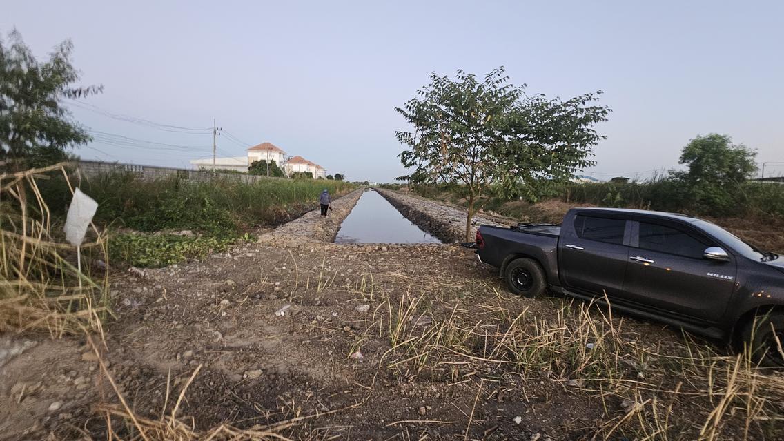 ที่ดินลำลูกกาคลองห้าปทุมธานี 3