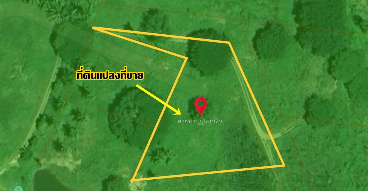 ขายที่ดินสวย ทำเลดี ติดคลองอ่างทอง ใกล้ชายทะเลทับสะแก ประจวบคีรีขันธ์ 12