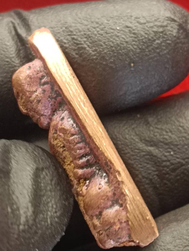 หลวงพ่อทวดหล่อโบราณหล่อเทดินไทย (รุ่นแรก) หลวงพ่อรวย วัดตะโก จ.อยุธยา ปี 2556 รุ่นรวยนิรันตราย รูปย่อยที่ 4