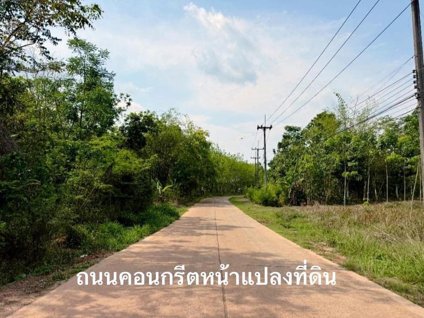 ขายสวนทุเรียนแปลงเล็กระยอง ให้ผลผลิตแล้ว 2-3-97 ไร่ 4,500,000- 9