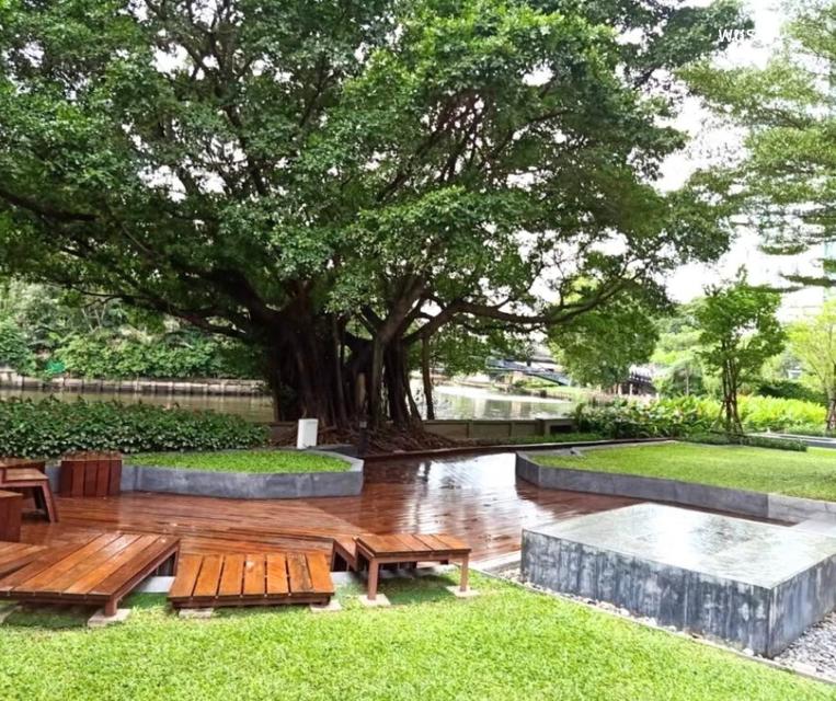 ให้เช่าคอนโดบลอคส์ สุขุมวิท 77 (อ่อนนุช) Blocs 77 ห้องมุมมีความเป็นส่วนตัว วิวสวย 5