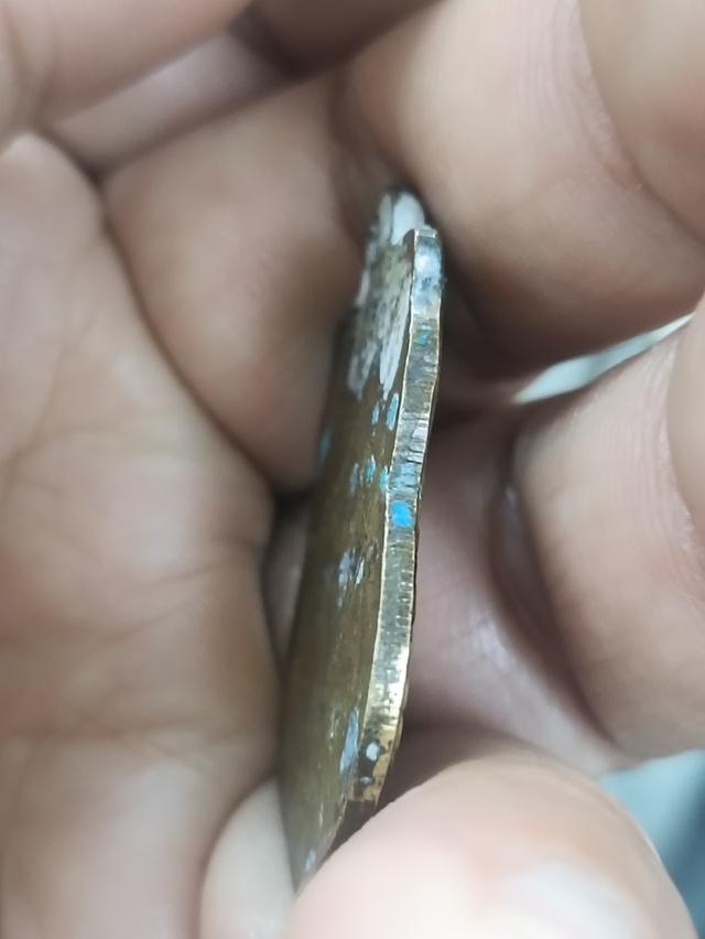 เหรียญเสมาพิมพ์หน้าใหญ่ หลวงพ่อจง 4