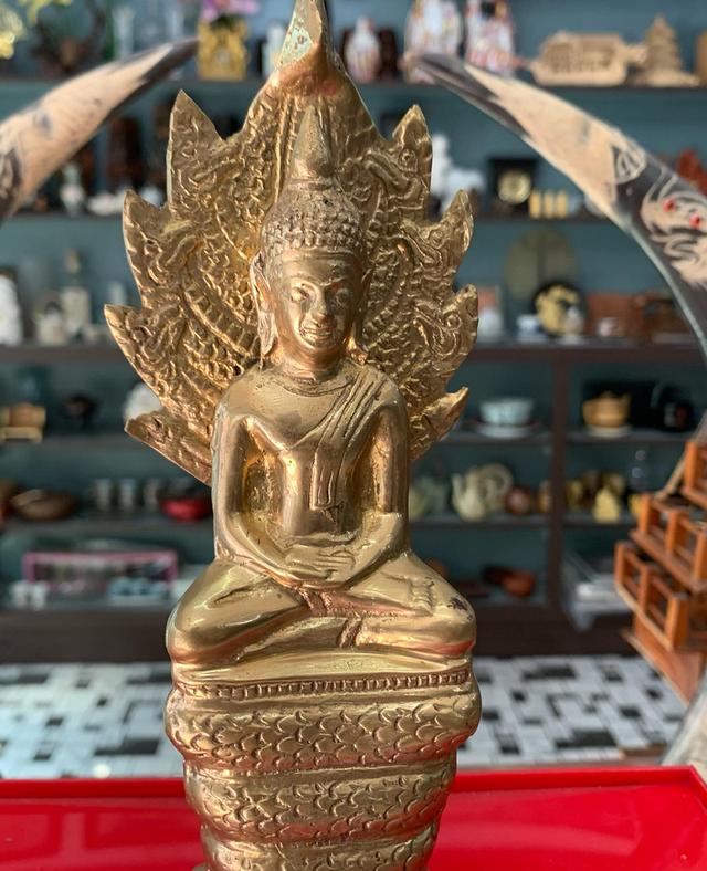พระนาคปรก เนื้อทองเหลือง 3