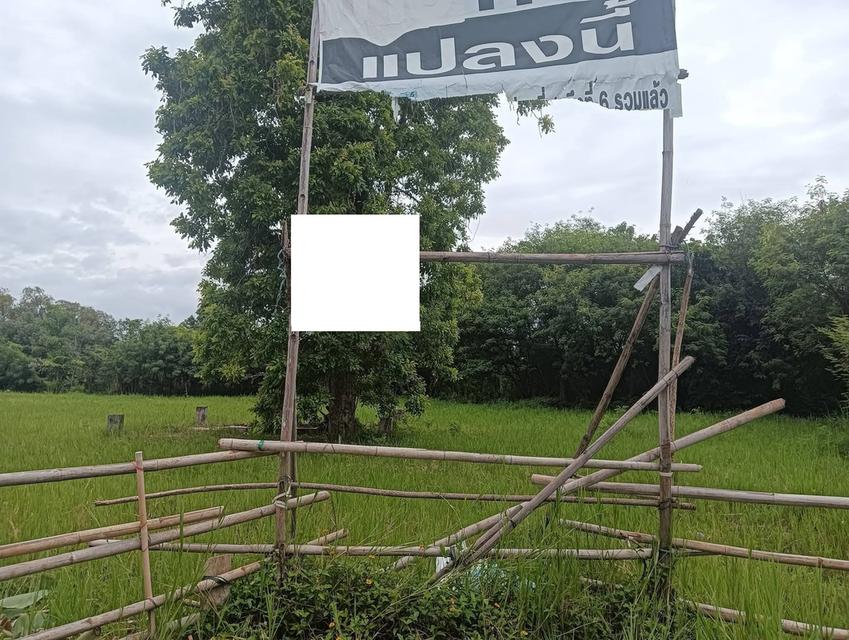 ที่ดินเปล่าในโครงการไชโย ต.บ้านแหวน อ.หางดง 1