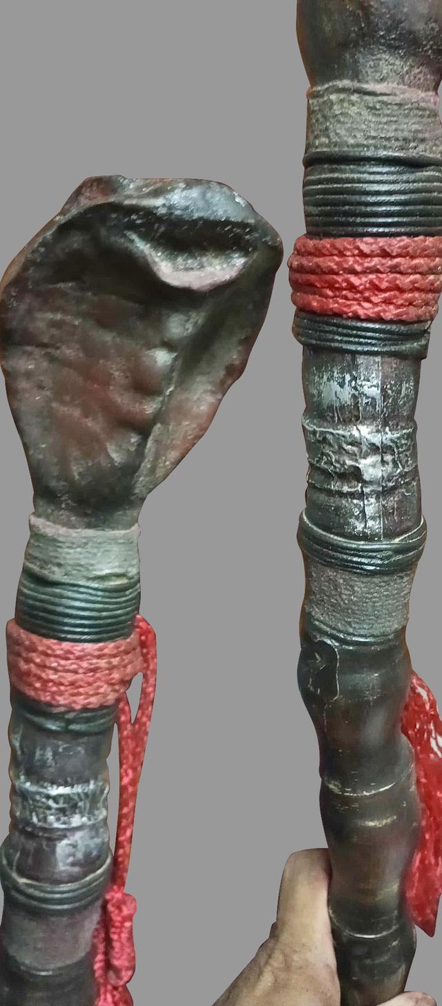 ไม้เท้างู ไม้เท้างูจงอาง ไม้เท้าแกะสลัก เศียรพญานาค ไม้เท้าไม้ไผ่ 4