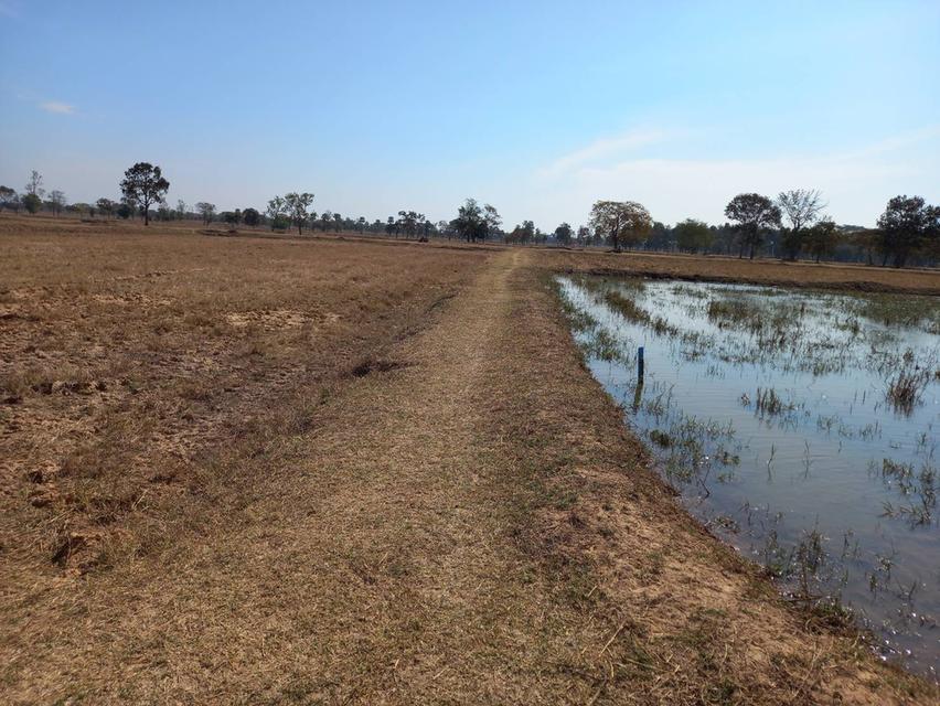 ที่ดินในจังหวัดบุรีรัมย์ 9