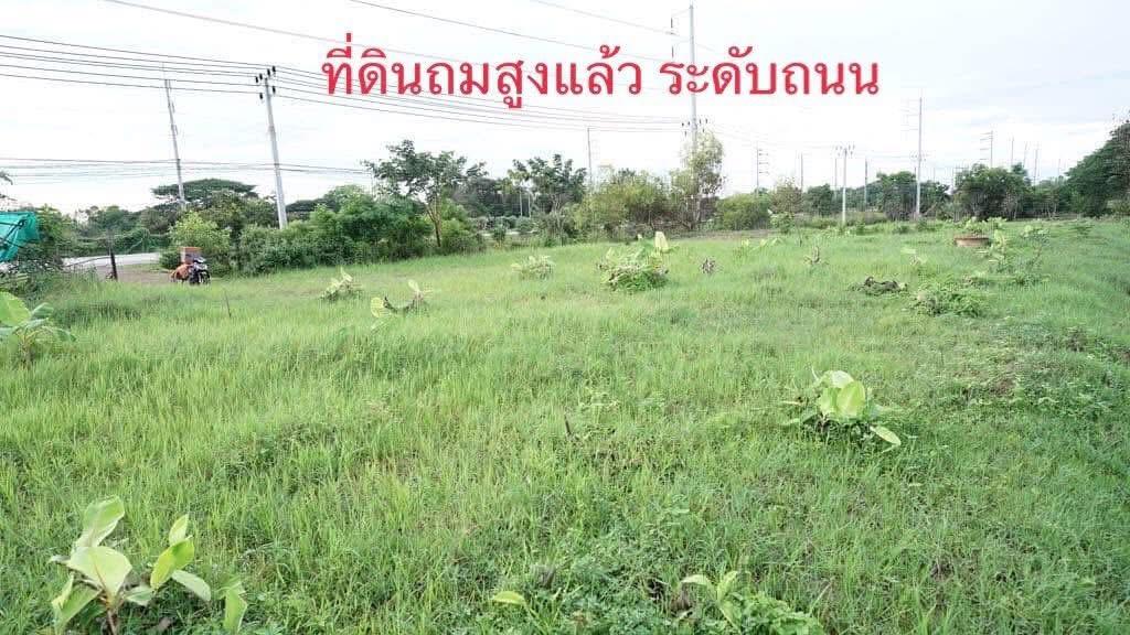 ขายที่ดินติดถนนใหญ่ ใกล้ ม.เกษตร สกลนคร 2