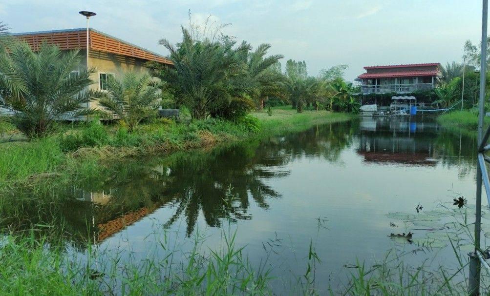 ขายที่ดิน อ.บ้านโป่ง  จ. ราชบุรี 6 ไร่ พร้อมบ้าน 3 หลัง  1