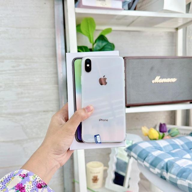 iphone x  (white )