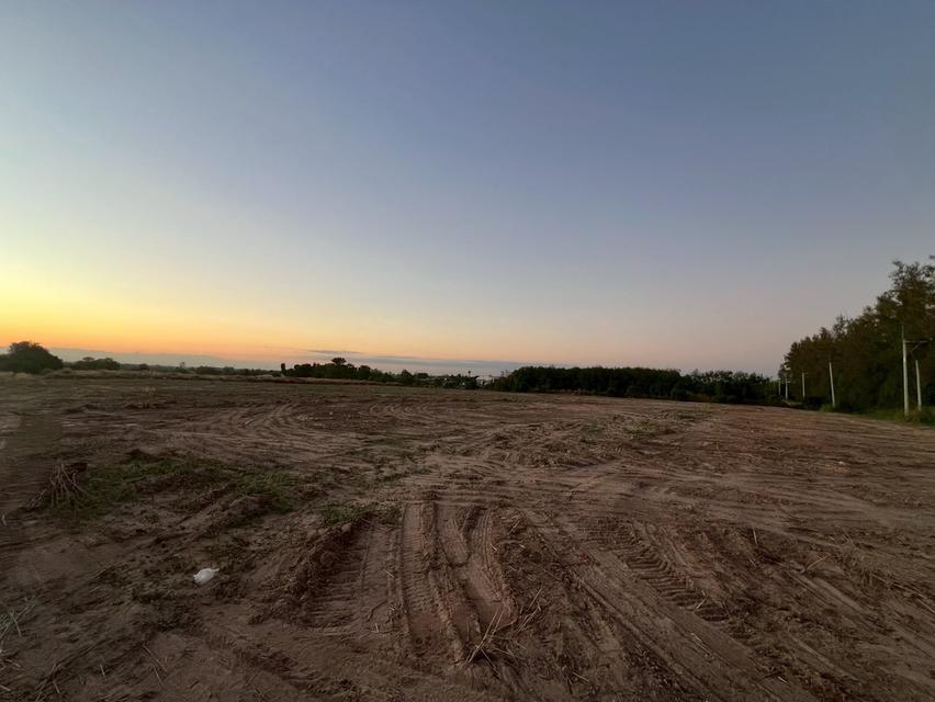 ขายที่ดินหนองเหียง 15 ไร่ บ้านไทรคู่ซอย14 ใกล้ถนนเส้น331-9กม. อ.พนัสนิคม จ.ชลบุรี 2